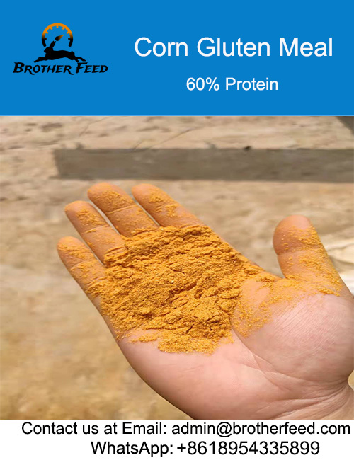 Corn Gluten Meal 60 Brother Feed Company